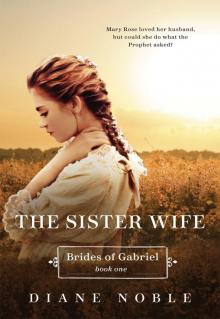 The Sister Wife The Sister Wife