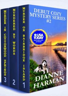 Debut Cozy Mystery Box Set 2