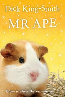 Mr Ape Mr Ape