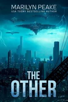 The Other by Marilyn Peake The Other by Marilyn Peake