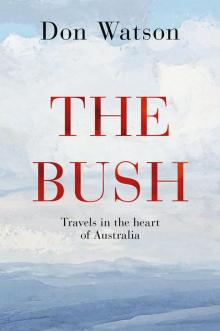 The Bush The Bush