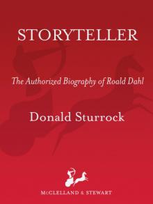 Storyteller Storyteller