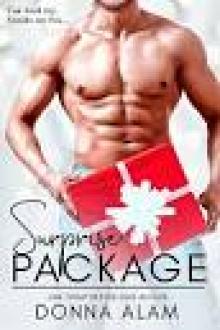 Surprise Package Surprise Package