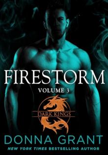 Firestorm: Volume 3 Firestorm: Volume 3