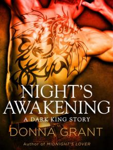 Night's Awakening Night's Awakening
