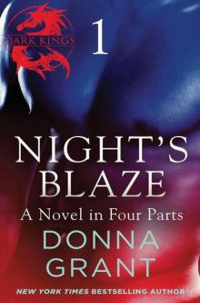 Night's Blaze: Part 1 Night's Blaze: Part 1
