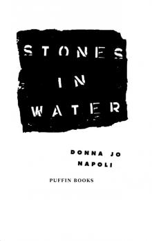 Stones in Water Stones in Water