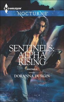 Sentinels: Alpha Rising