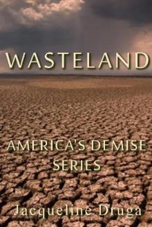 America's Demise 01 - Wasteland