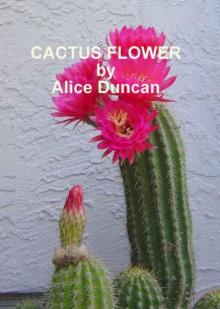 Cactus Flower Cactus Flower
