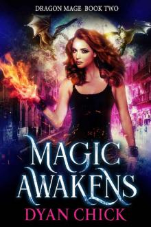 Magic Awakens (Dragon Mage Book 2)