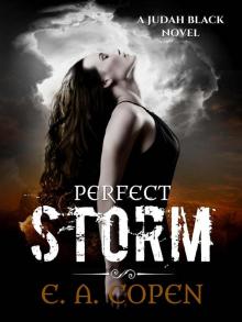 Perfect Storm