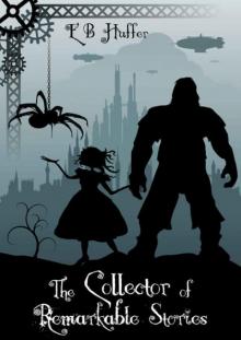 The Collector of Remarkable Stories