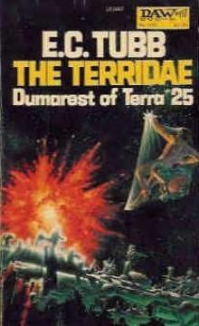 The Terridae (dot-2)