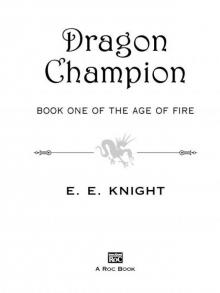 Dragon Champion Dragon Champion
