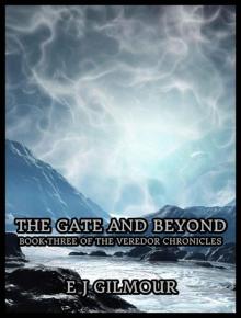 The Gate and Beyond The Gate and Beyond