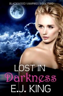 Lost in Darkness Lost in Darkness