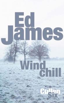 Windchill (DC Scott Cullen Crime Series Book 6)