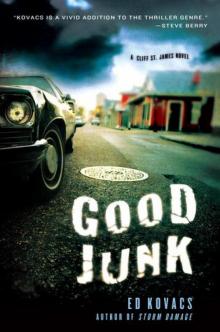 Good Junk Good Junk