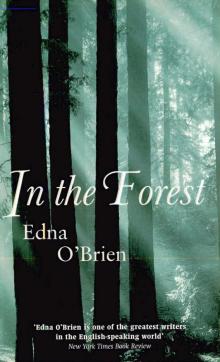 In the Forest In the Forest