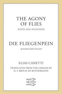 Agony of Flies Agony of Flies