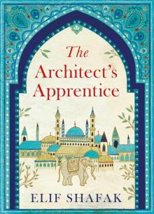 The Architect's Apprentice The Architect's Apprentice