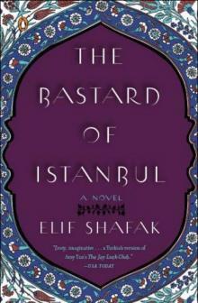 The Bastard of Istanbul The Bastard of Istanbul