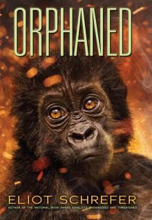 Orphaned Orphaned