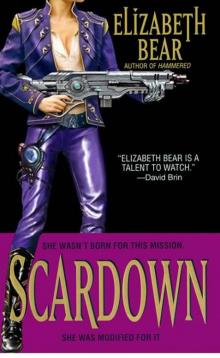 Scardown jc-2