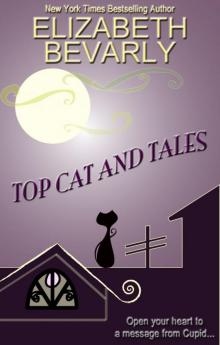 Top Cat and Tales Top Cat and Tales