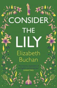 Consider the Lily Consider the Lily
