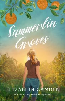 Summerlin Groves: A Sweet Second-Chance Romance