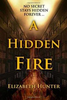A Hidden Fire A Hidden Fire