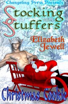 Stocking Stuffer: Christmas Cookie