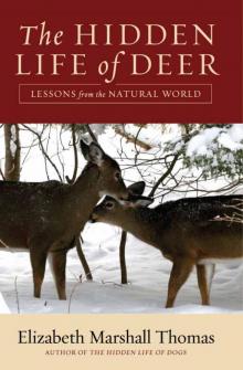 The Hidden Life of Deer