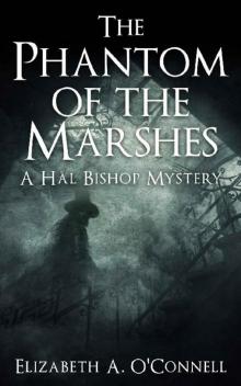 The Phantom of the Marshes