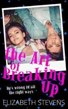 the Art of Breaking Up the Art of Breaking Up