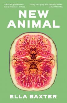 New Animal New Animal