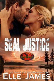 SEAL JUSTICE (Brotherhood Protectors Book 13) SEAL JUSTICE (Brotherhood Protectors Book 13)