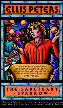 Sanctuary Sparrow bc-7 Sanctuary Sparrow bc-7