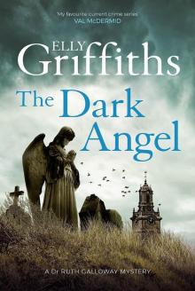 The Dark Angel The Dark Angel