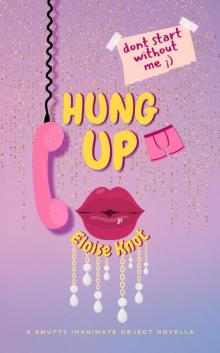 Hung Up: A Smutty Inanimate Object Novella