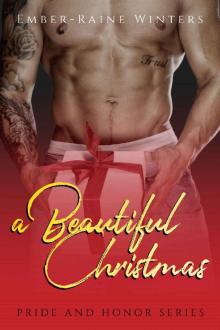 a Beautiful Christmas: A Pride and Honor Christmas