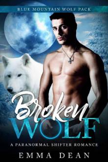 Broken Wolf_A Paranormal Shifter Romance