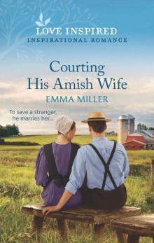 Courting His Amish Wife