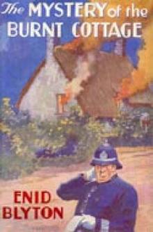 Mystery of the Burnt Cottage tffabtd-1
