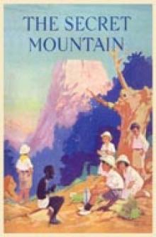 The Secret Mountain tss-3 The Secret Mountain tss-3