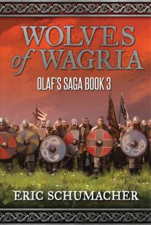 Wolves of Wagria: A Viking Age Novel