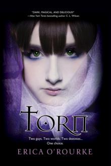 Torn 01 - Torn
