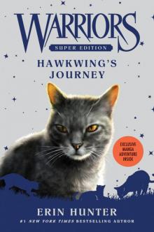 Hawkwing's Journey Hawkwing's Journey